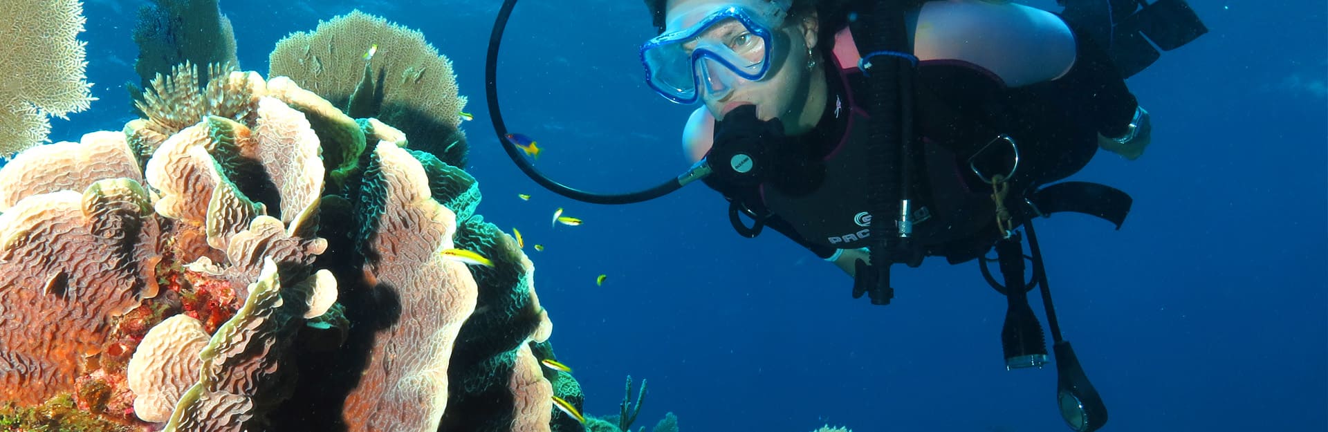 Tauchen in Varadero, Zapata-Sumpf, CIB Baracuda, CIB Punta Perdiz, Kuba